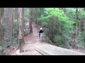 Click here to watch this video やまねこ目線（20120520_大阪M山編3）.MOV