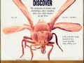 Mutations, Cloning and Creationism Mutations, Cloning and Creationism