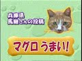 まぐろ　ねこ　うまいな