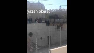 قرية ام طوبا قرية ام طوبا