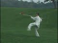Chen Taijiquan - Qiang form Chen Taijiquan - Qiang form