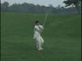 Chen Taijiquan - Qiang form