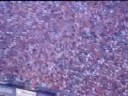 World record for Biggest Wave Ever !! Bristol Tenn. 130k +
