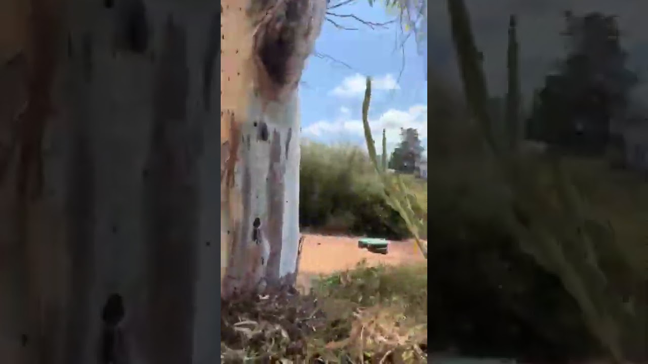 חיפה - פינוי בינוי בדרך צרפת בשכונת קרית שפרינצק בחיפה