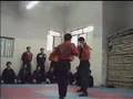 kungfutoa