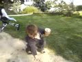Raphaël (L')