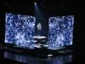 Celine Dion Clips from Taking Chances Tour 08
