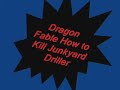 how to kill junkyard driller   dragon fable