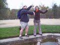 Daphnia & Cyclops