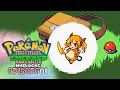 Pokémon Pokémon