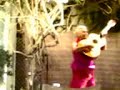 pantojita en chipiona 2