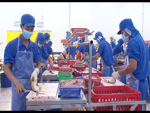 Hỗ trợ xúc tiến xuất khẩu vào thị trường Autralia