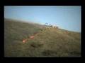 Northern California Fires Local CalFire