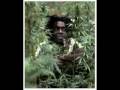 Peter Tosh Tribute
