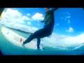 surfing lyall bay