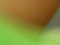 videos de knock knock