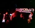 Super Furry Animals - Northern Lites (Live)