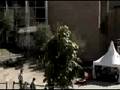 Spot festival del 1