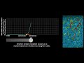 Lifekill Continued:Accelerated Bacterial Evolution All credit for this video goes to the Marian Koshland Science Musuem of the national academy of sciences. This video can be found at link: www.koshland-science-museum.org ... lifekill djhives dante altair alex jones david icke 