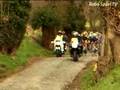 Wielrennen - De 41e Vlaamse Pijl