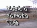Yamaha TDR 125 Máslo Yamaha TDR 125 Máslo