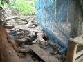 DSCF1410