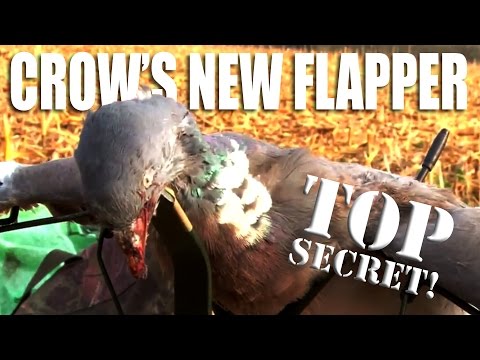 Pigeon shooting: Andy’s new flapper