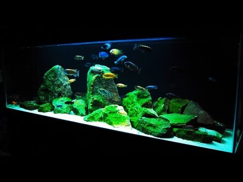 how to fill fish tank
