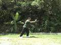 Free Lesson: 8. Brush Knee- Wu Tai Chi