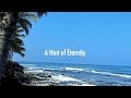 What is Beauty? What is Beauty?