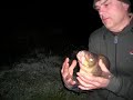 A nice bream in spite of the weather