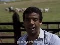 Boiadeiro - Jorge Ben Jor - Clipe no Fantástico 1980