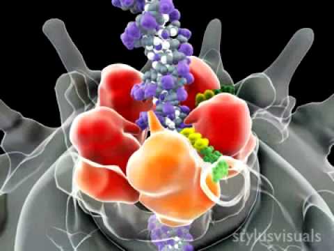 Imagen de previsualización de YouTube