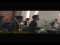 la vaca blanca-Los Girasoles
