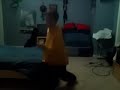 karate karate