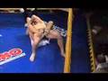 MMA Aramis Alberti VS Traian Carciuc 1° Round