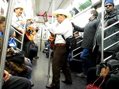 Funny Mariachi Band
