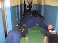 Valley Forge Plebe Video Valley Forge Plebe Video