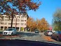 Palo Alto My village