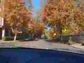 Palo-Alto-My-village