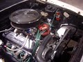 Mustang idiling with patriot freedom heads Mustang idiling with patriot freedom heads