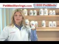 Maintain Your Dogs Health with a Discount Dog Supplement