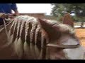 Riding the Big Horse Riding the Big Horse
