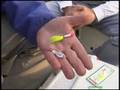 Shad fishing on the Neuse River - Part 1