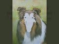 Oil Painting, Pet Portrait of a Shetland Sheepdog named Buck Oil Painting, Pet Portrait of a Shetland Sheepdog named Buck