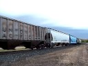 CP 498 manifest at Tower CK in Winona, MN 10-23-08
