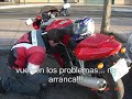 viaje a pingüinos 2008