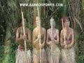 Bamboo Power eBook by Blair LeMire PhD Bamboo Literature Bamboo Power eBook by Blair LeMire PhD Bamboo Literature