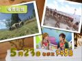 Click here to watch this video 民視最新兒童節目【小小哥倫布】 5/23帶您遨遊全世界