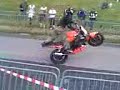 ribiero bourbourg stunt ribiero bourbourg stunt